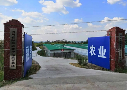 四川种兔养殖公司哪家好？？？？？？？